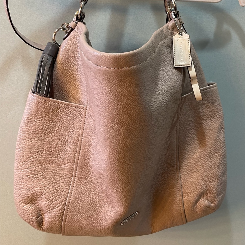 Coach Park Leather Hobo F31323
